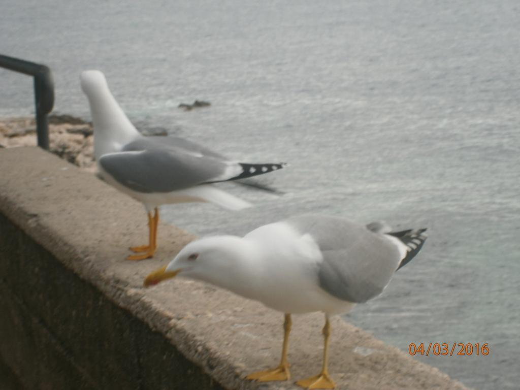 Apartments Sea And Sun ラバック エクステリア 写真
